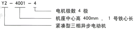 YR系列(H355-1000)高压YR4503-6/280KW三相异步电机西安西玛电机型号说明